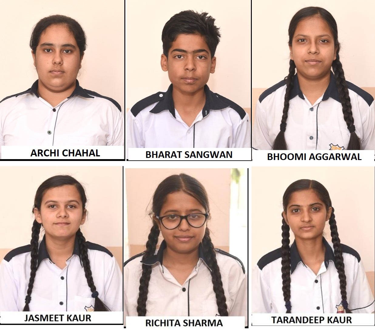 10th students of Indian Public School Ambala waved the flag of success